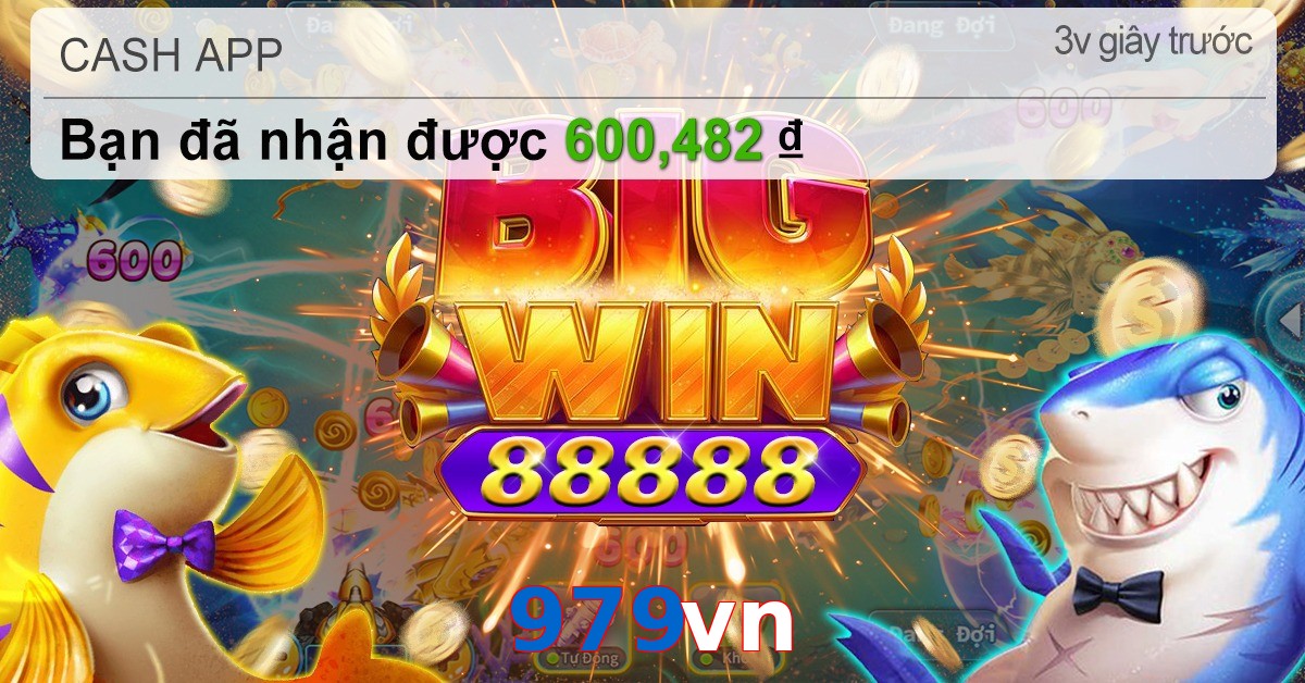 979vn